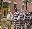 Chain Gang