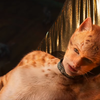 Cats, de Tom Hooper com Taylor Swift, ganha primeiro trailer