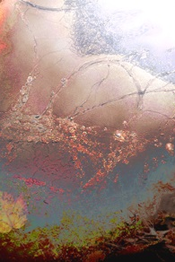 Poster de TV A Dança da Vida (2016)