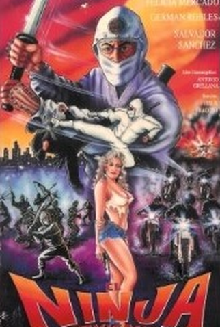 Poster 1 de Filme El Ninja Mexicano (1991)
