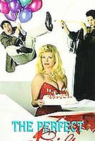 Poster 1 de Filme O Presente Ideal (1994)