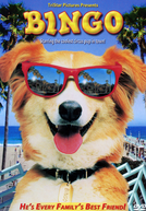 Bingo, Esperto pra Cachorro