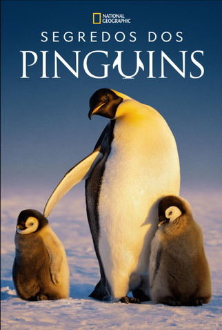 Poster 1 de Série Segredos dos Pinguins (2025)