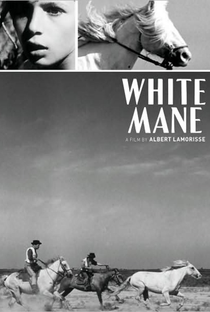 O Cavalo Branco - Poster / Capa / Cartaz - Oficial 1