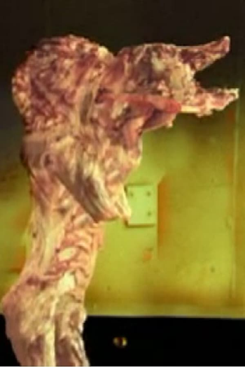 Poster de Curta The Pig Walks (2002)