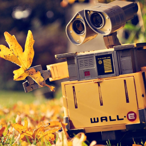 Foto de perfil de AK