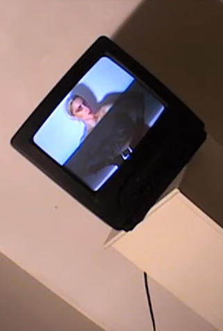 Poster 1 de Curta Sally Dige: Immaculate Deception (2011)