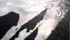 Trabalho das Sombras