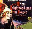When Knighthood Was in Flower