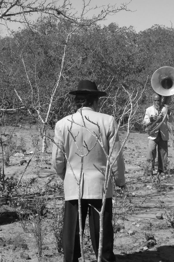 Poster de Curta Cães (2008)