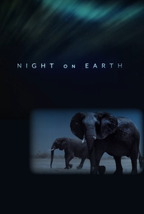 A Terra à Noite - Poster / Capa / Cartaz - Oficial 1