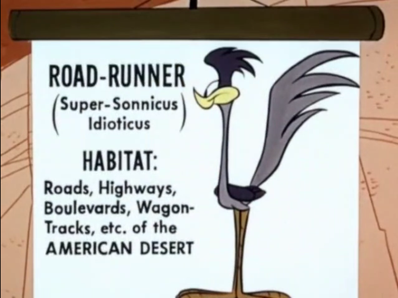 Foto 2 de Zip Zip Hooray!