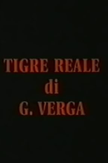 Tigre reale (Tigre reale)