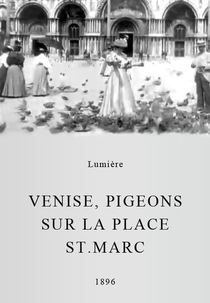 Pigeons sur la place Saint-Marc (Venise, Pigeons sur la place St.Marc)