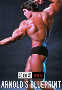 O Diagrama de Arnold (Arnold's Blueprint)