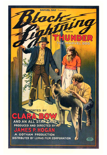 Black Lightning (Black Lightning)