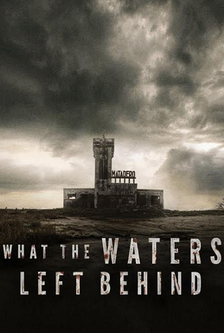 Poster 2 de Filme Os Esquecidos (2017)