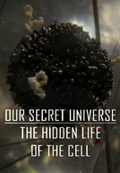 Our Secret Universe - The Hidden Life Of The Cell