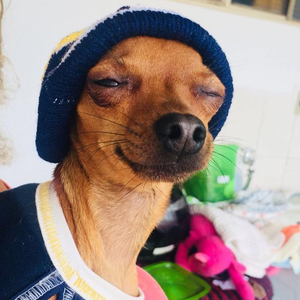 Foto de perfil de aglaia