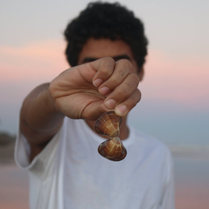 Foto de perfil de Felipe Rezende
