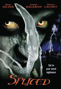 O Senhor dos Sonhos (The Wisher)