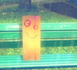 Meu Amigo Plank