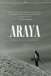 Araya - Poster / Capa / Cartaz - Oficial 1