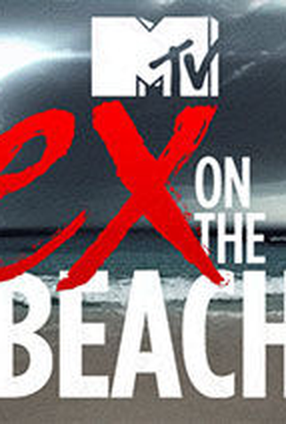 Poster 2 de Série De Férias com o Ex (2014)