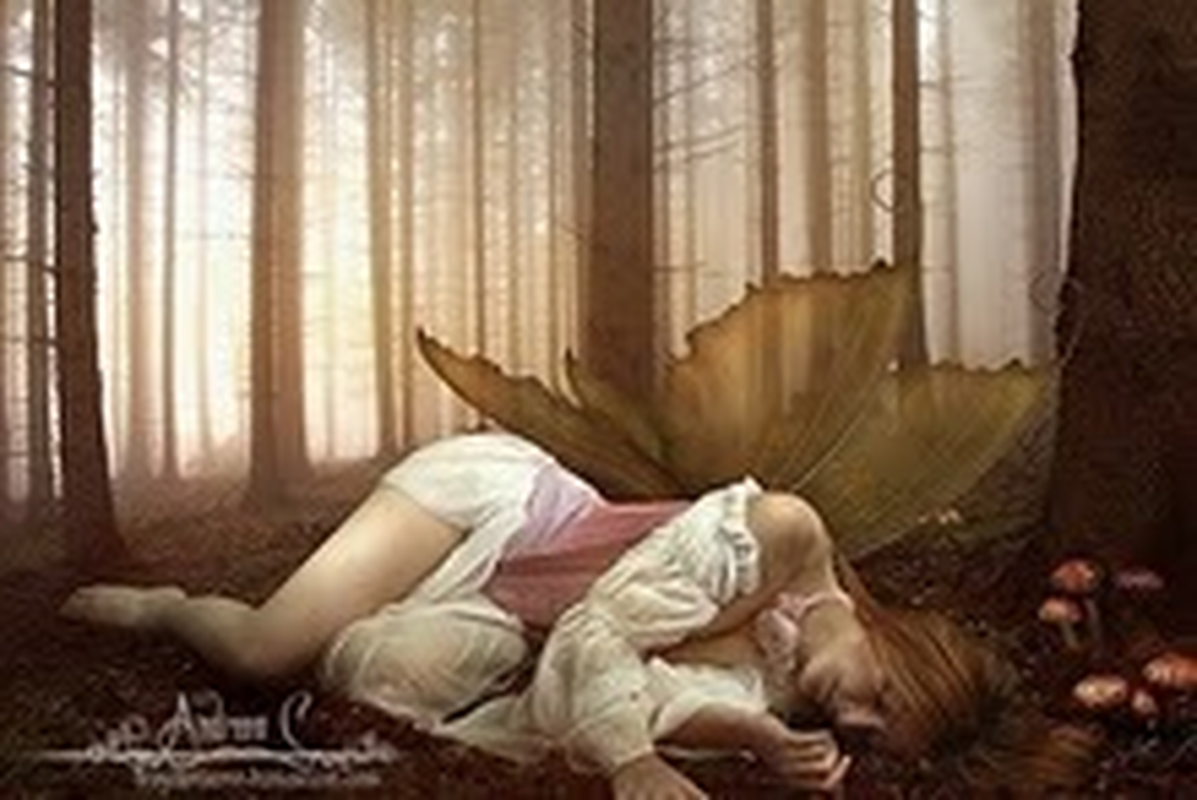 Lucy  *,..,* - Foto 3