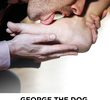 George The Dog, Refugee