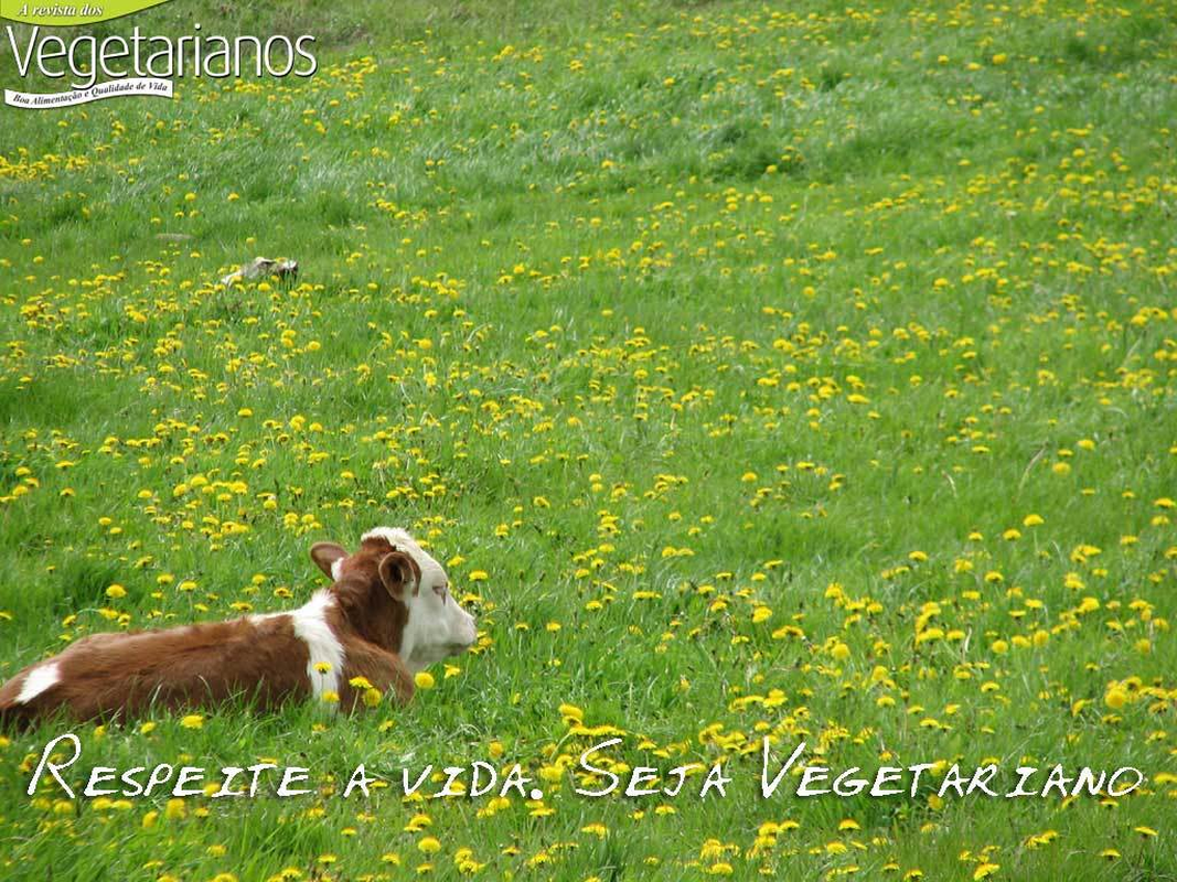 Víctor - Foto 1