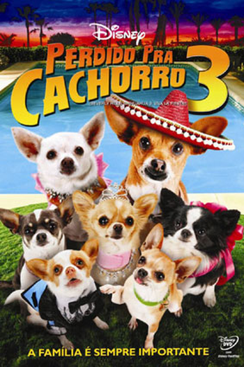  de Filme Perdido Pra Cachorro 3 (2012)