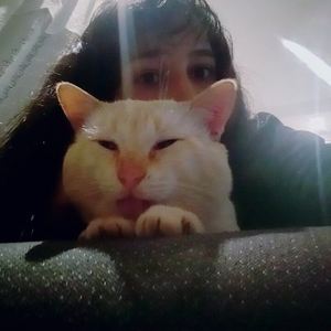 Foto de perfil de Priscila