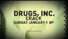 Drugs Incorporated: Crack