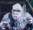 Abominable Snowman