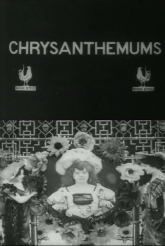 Poster 1 de Curta Chrysanthemums (1907)