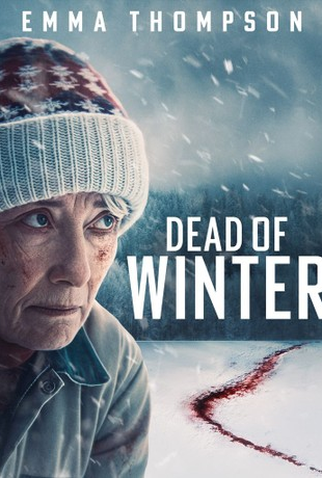 Poster 4 de Filme O Frio da Morte (2025)