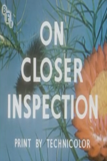 Poster de Curta On Closer Inspection (1953)