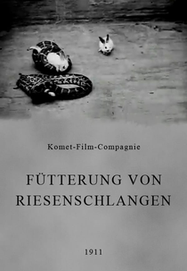 Fütterung von Riesenschlangen (Fütterung von Riesenschlangen)