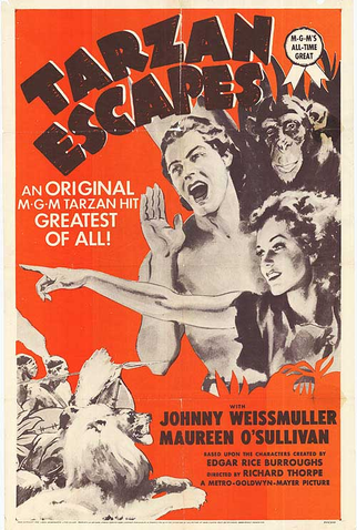 Poster 6 de Filme A Fuga de Tarzan (1936)