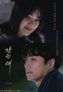 Little Bird (작은새)
