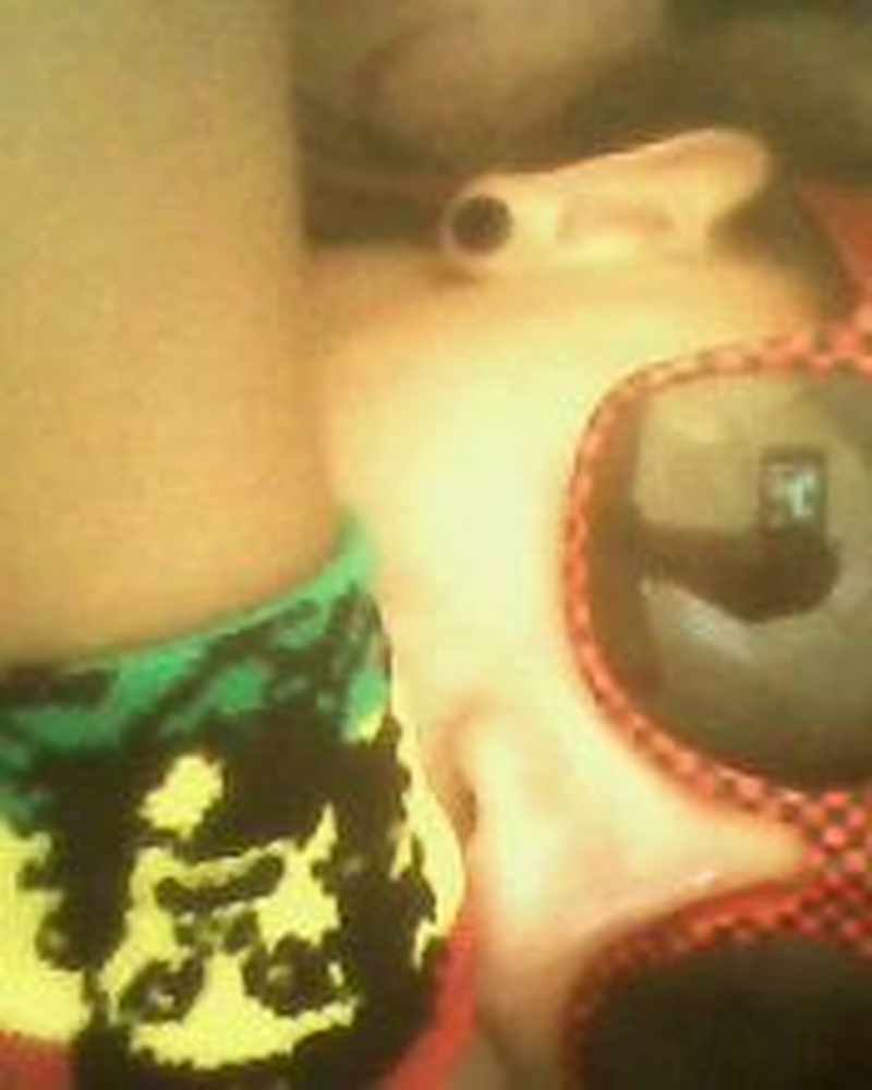 Daphne - Foto 1