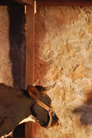 Poster de Episódio 3. Bölüm (2007)