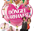Döngel Kârhanesi
