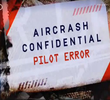 Pilot Error