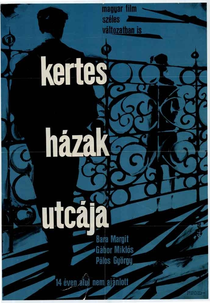 Kertes házak utcája (Kertes házak utcája)