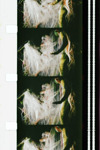 Poster de Curta Chrysalis (1973)