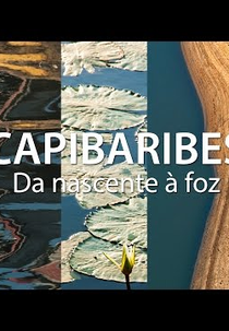 Capibaribes, da nascente à foz (Capibaribes, da nascente à foz)