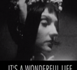 It's a Wonderful Life: Sparklehorse