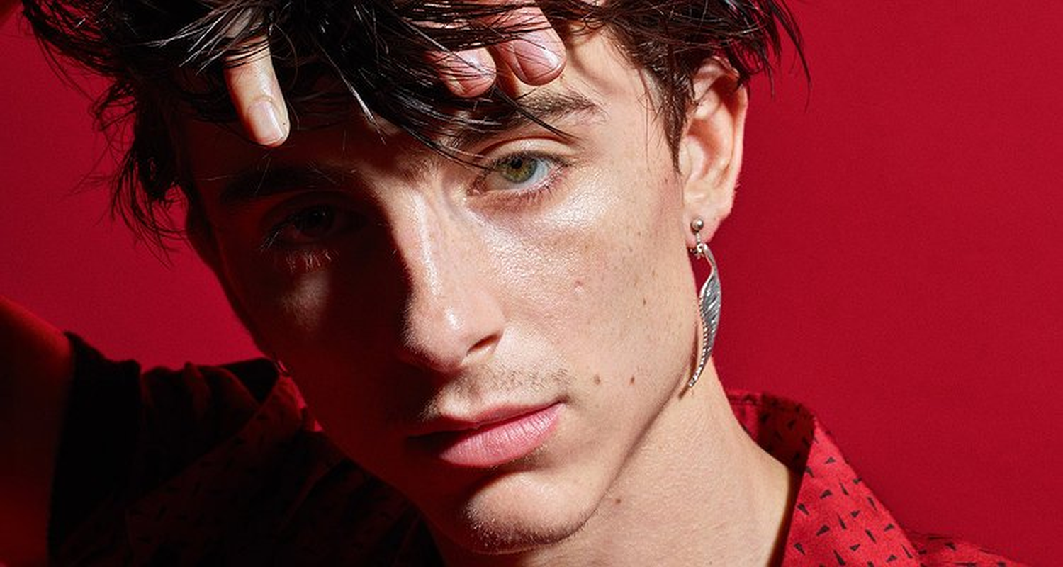 Timothée Chalamet - Foto 4